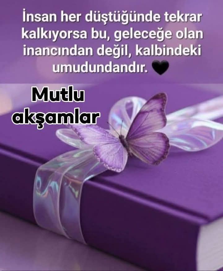 Gül Haluk tweet media