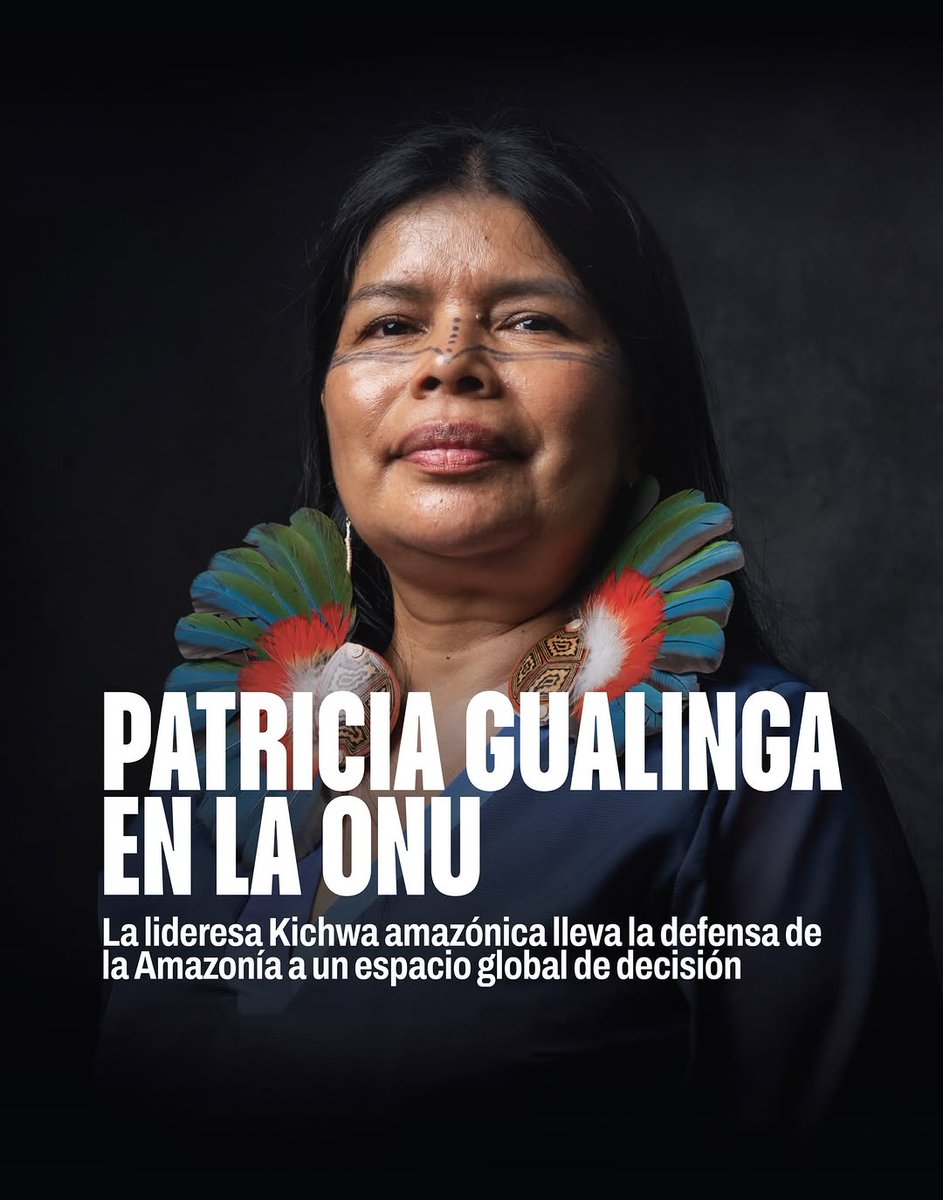 PRENSA Virtual tweet media