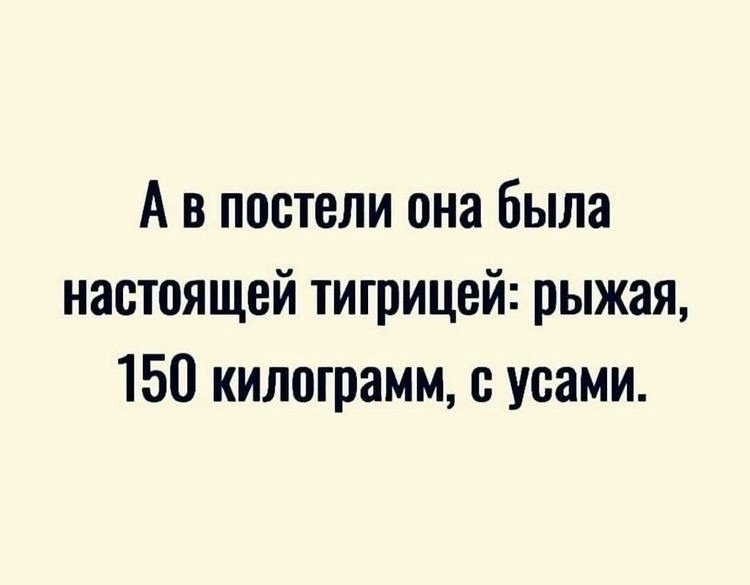 Алексей Толстый tweet media