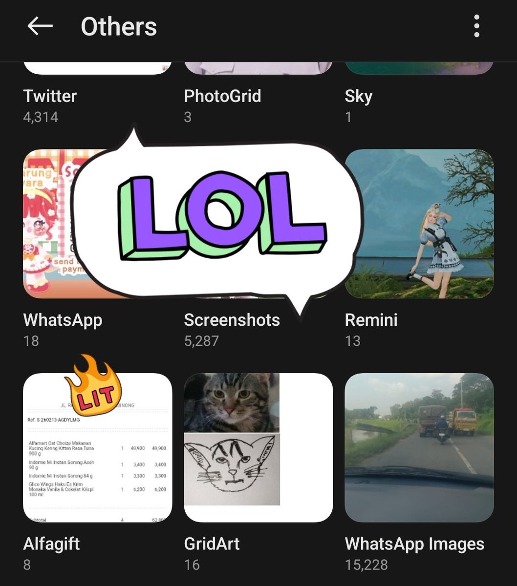 🐼 tweet media