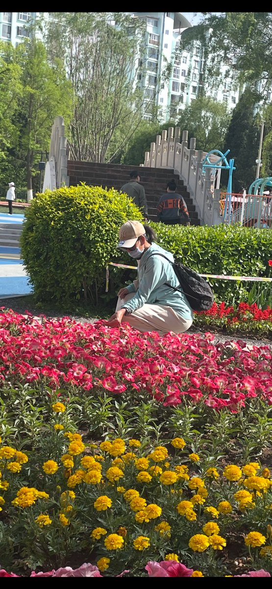 Shun11769's tweet photo. 康宝，今天哥和妈妈背着你去电影��看《纵横四海》的，这是第一次带你去电影院。接着带你去吃了米村，逛了商场，下午背你来公园绕了绕。前两天哥把你小二妹儿也背出来了，这是你二妹儿时隔五年出来，她很乖很听话，让她也感受一下户外。 https://t.co/CDiF4mruGy