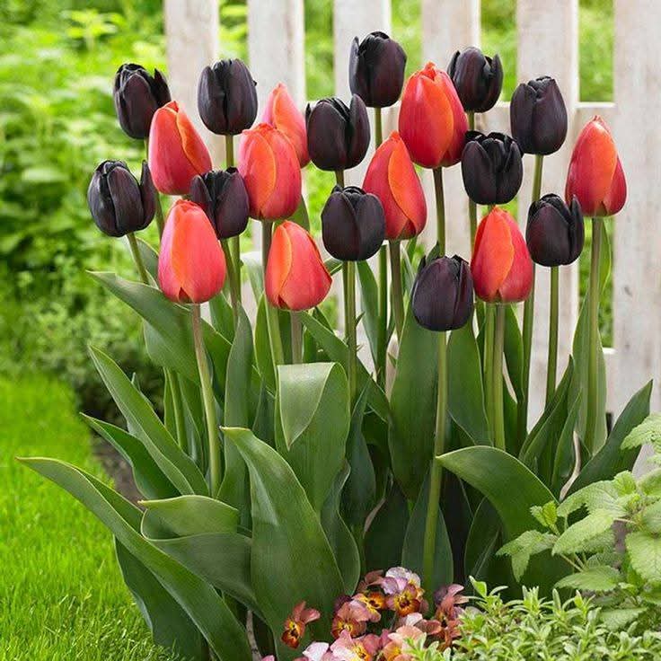 Natural beauty tweet media