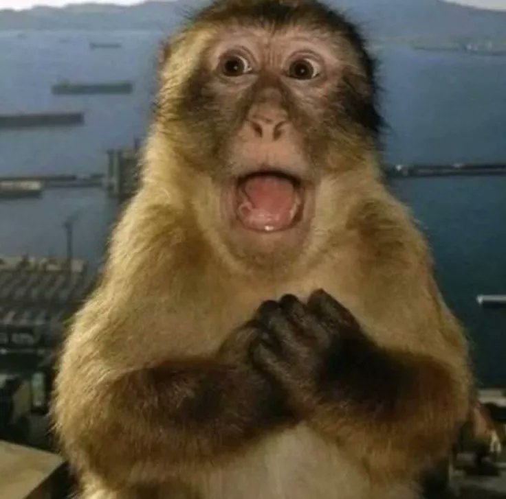 ౨ৎConnie౨ৎ tweet media