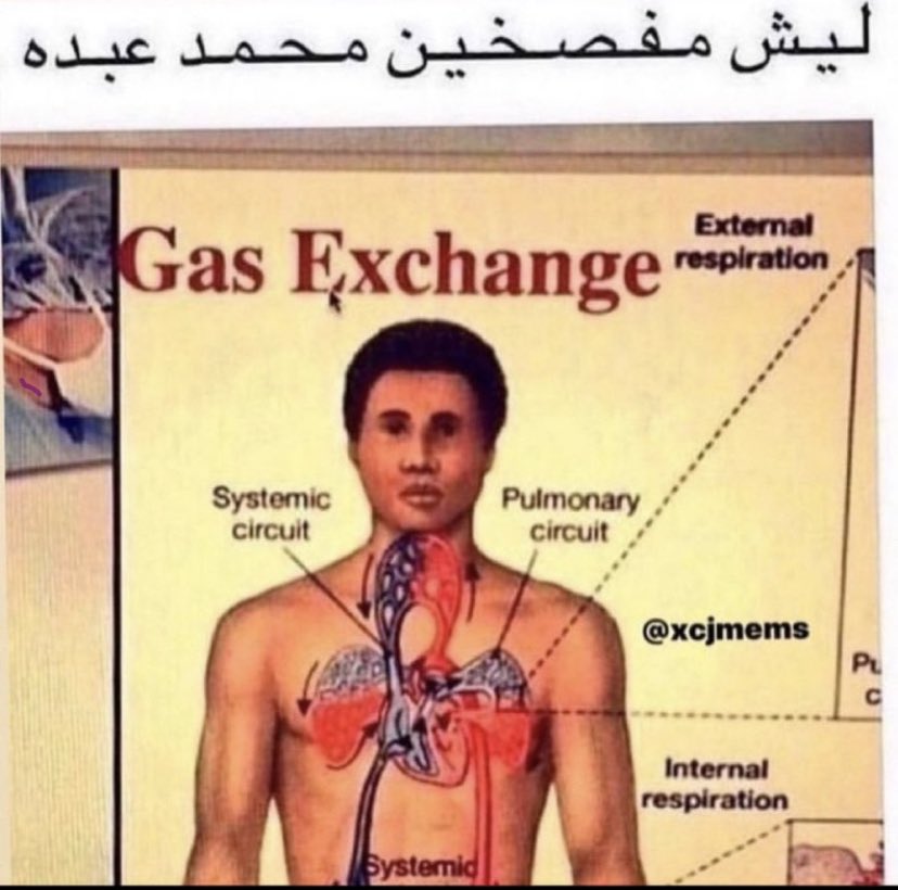 ميمي tweet media