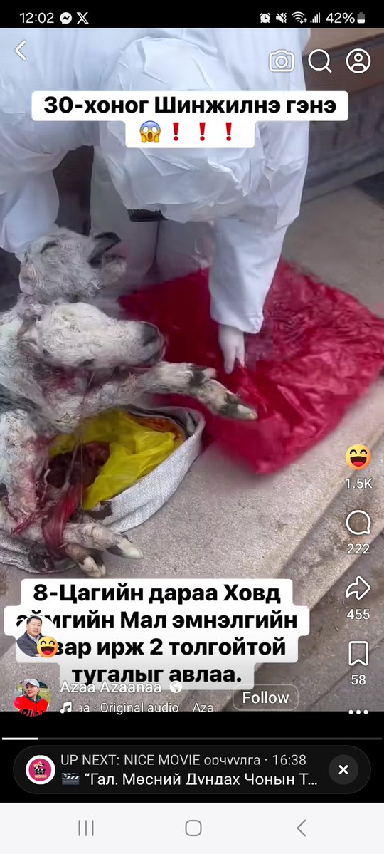 Чөлөөт хүн tweet media
