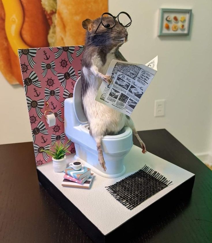 rat tweet media