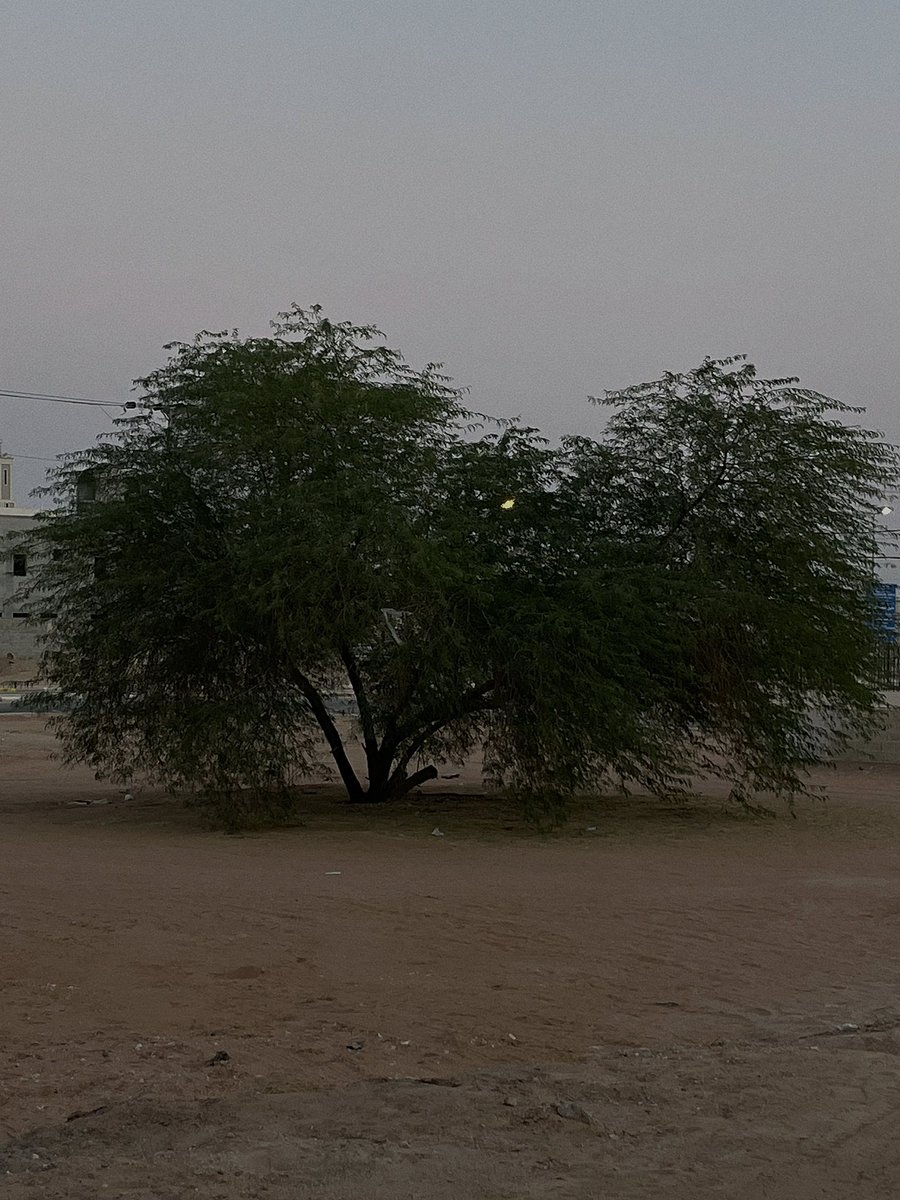 ِ tweet media