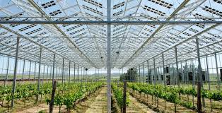 caralinett's tweet photo. @JamesMelville #agrisolar #agripv
Double plus good https://t.co/xWO8MxSQnM