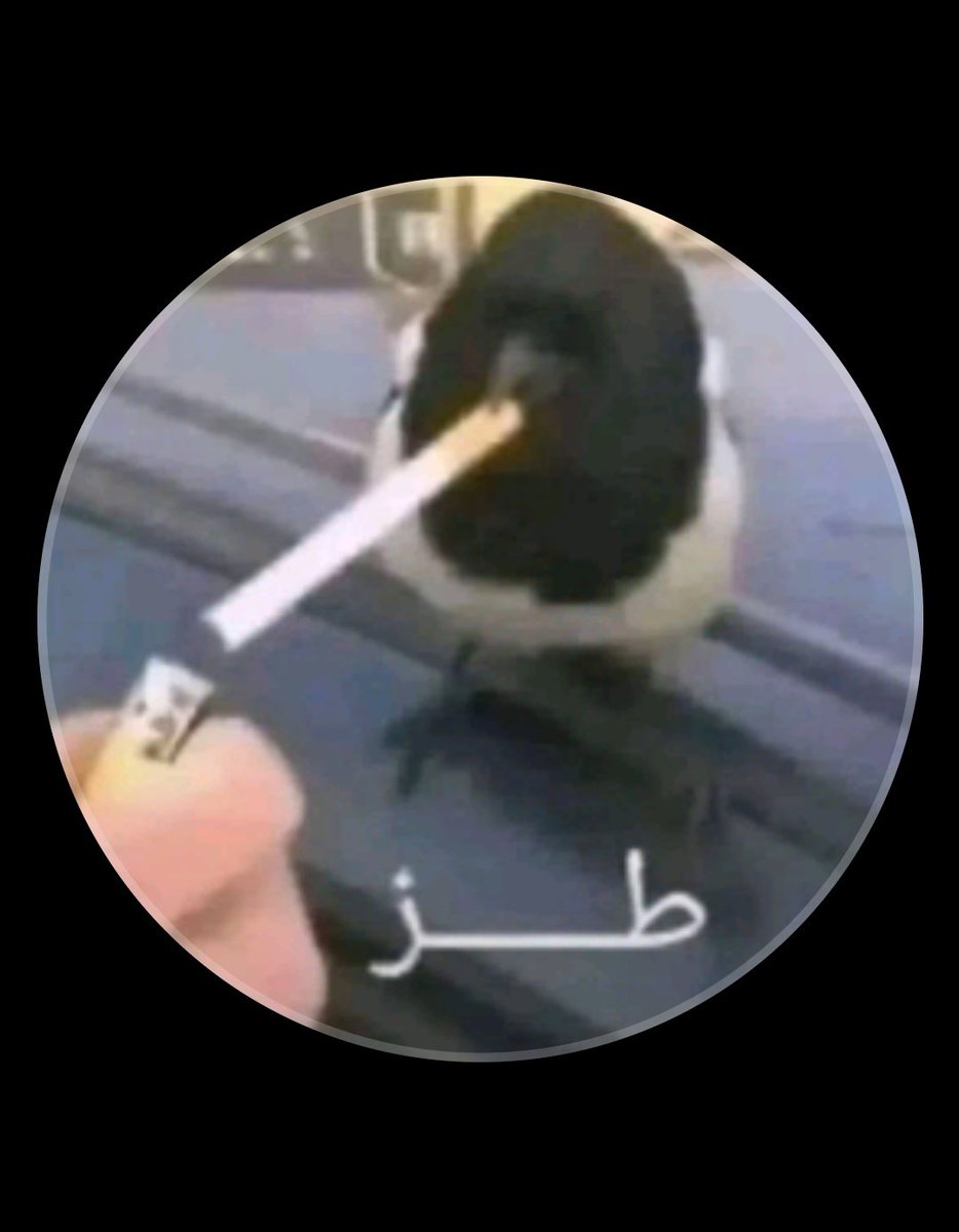 ابـو سـعـد 🥈⭐ tweet media