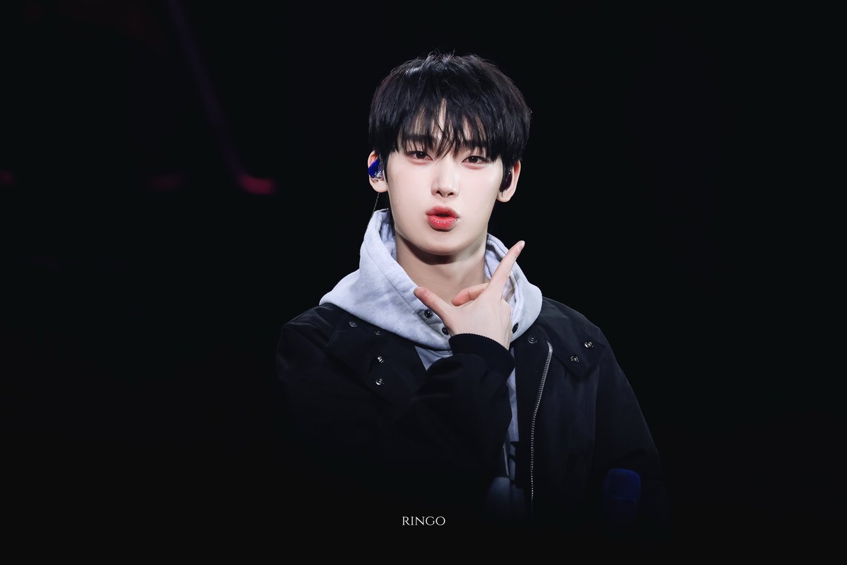 ringo tweet media