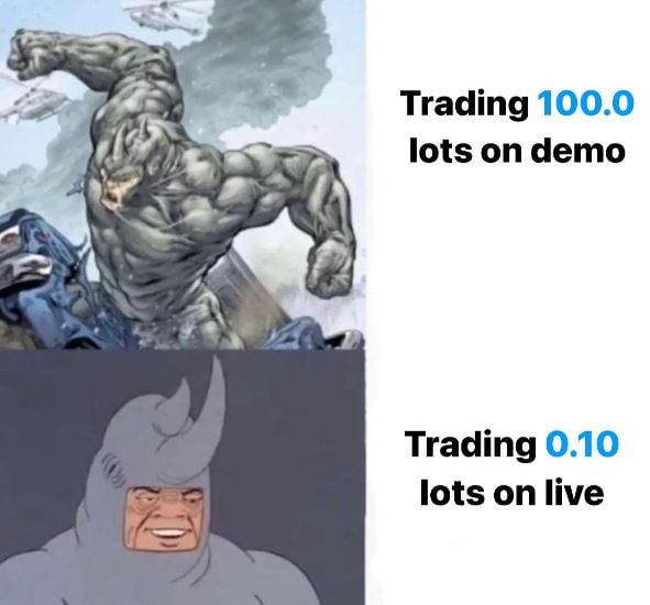 Trader Theory tweet media