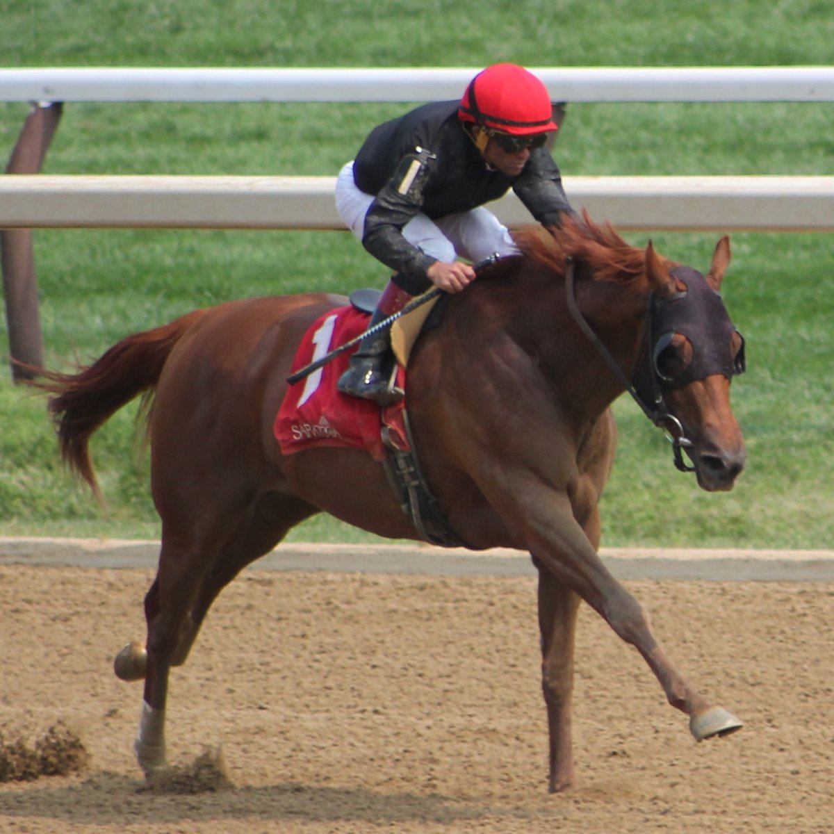Phipps Stable Fan tweet media