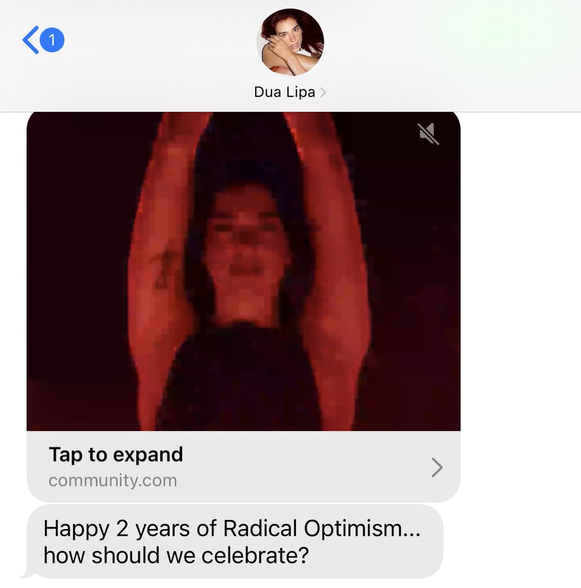 Dua Lipa News tweet media