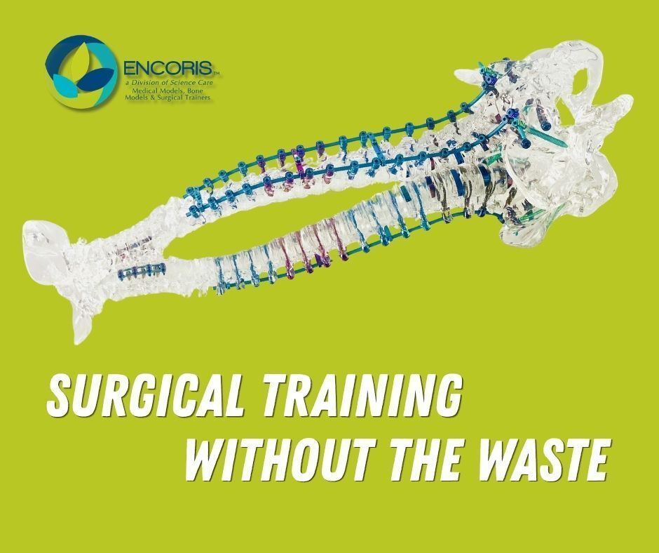 Encoris1's tweet image. Encoris Task Trainers let you replace only the targeted anatomy, reducing cost and maximizing repeatability.

✔ Lower cost per procedure
✔ Less waste
✔ More precise training

Learn more:encoris.com/surgical-task-… #MedicalEducation #MedicalTraining #TaskTrainer