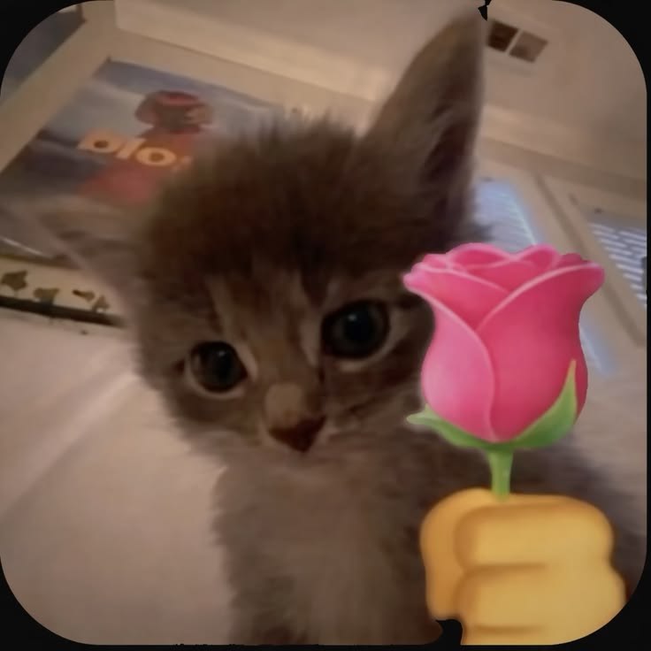 lumi tweet media