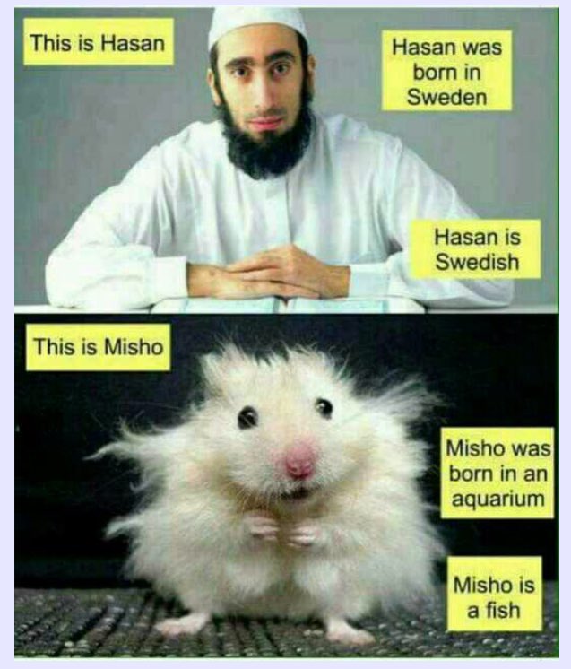 (((Micha El-Shain))) tweet media