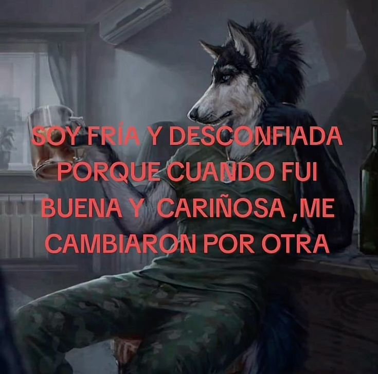 Quilombola tweet media