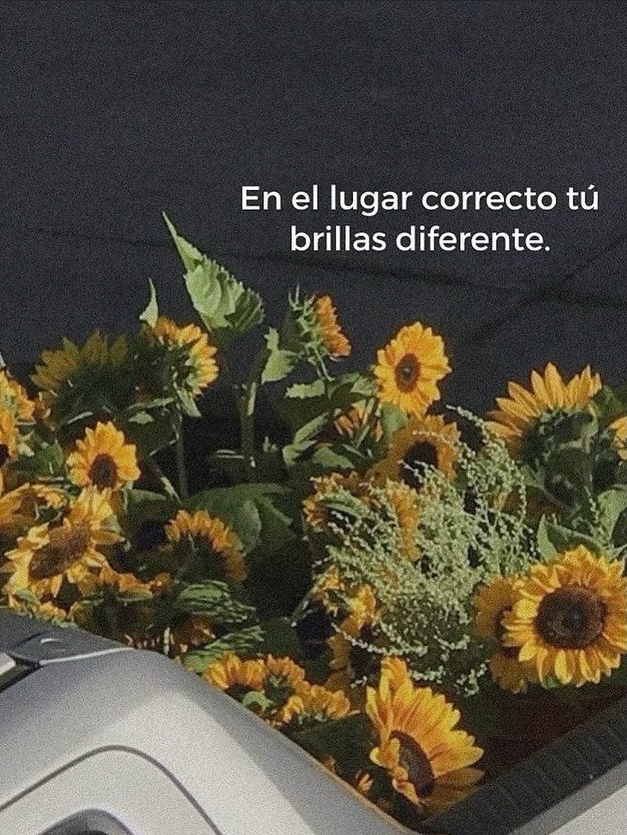 itextosoff's tweet photo. https://t.co/a9QMpPdyQe
