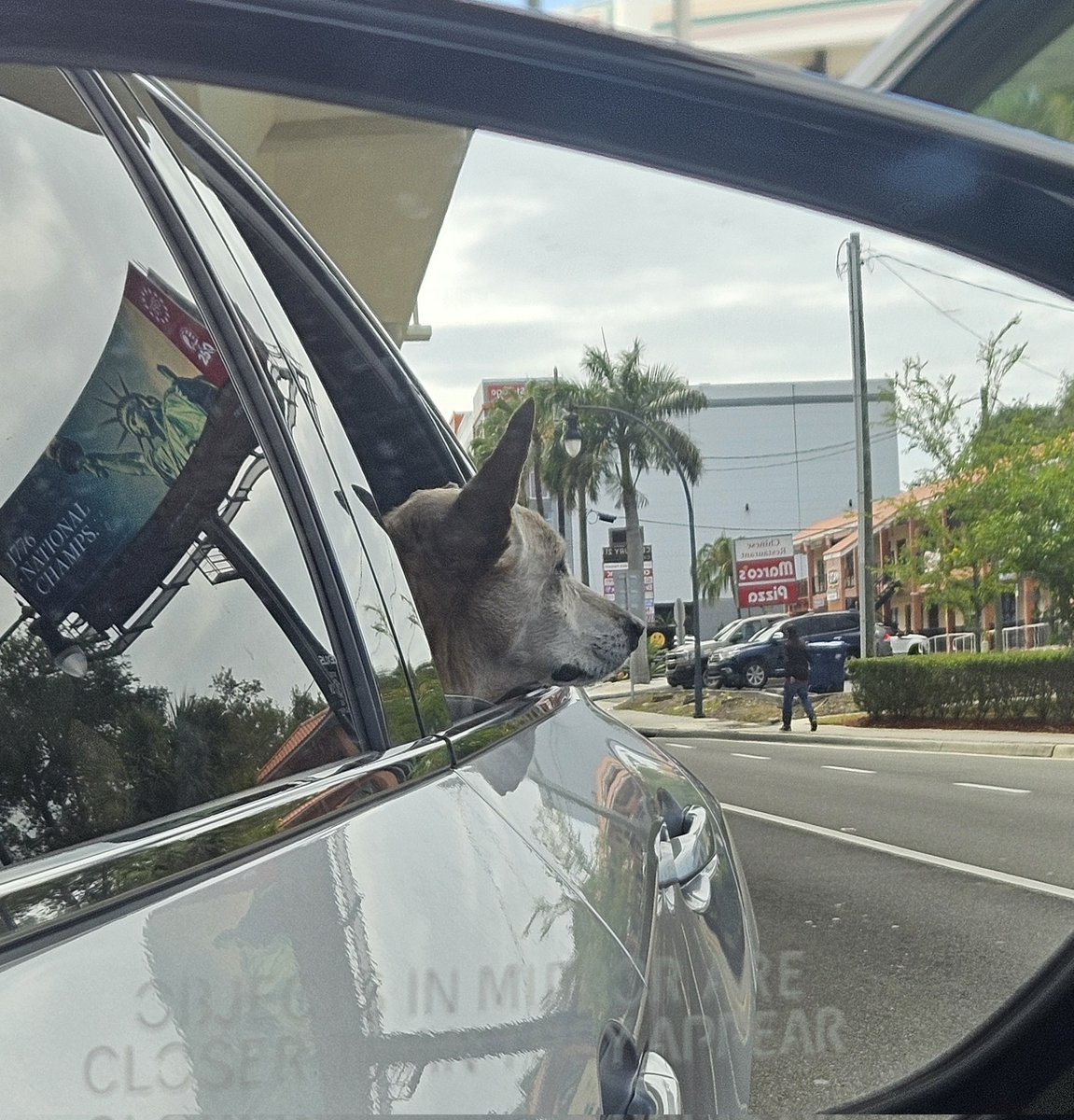 Florida Man - World's Superhero tweet media