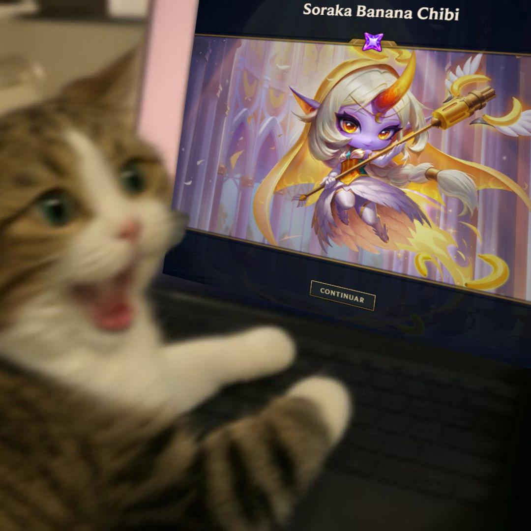 Shitpost_TFT tweet media