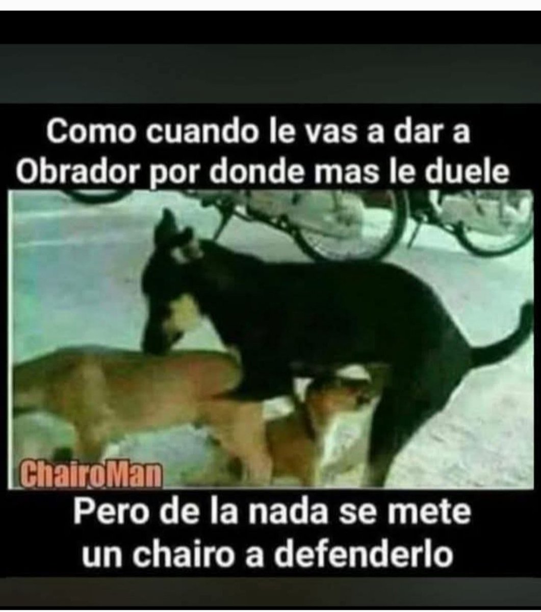 Cachanilla x tweet media