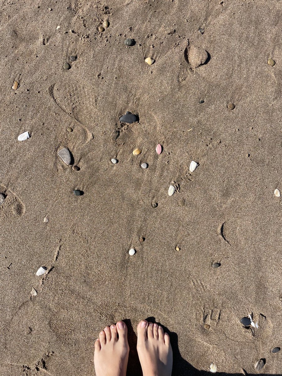 moreiniu's tweet photo. Frío. Sol. Playa. Mar https://t.co/G31PEL2ZD6