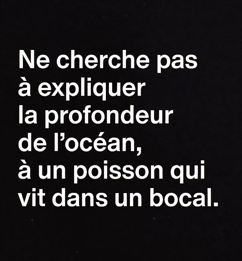Sagesse Pure tweet media