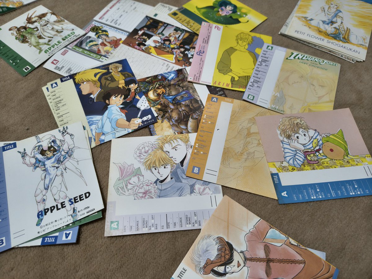 林晴 tweet media