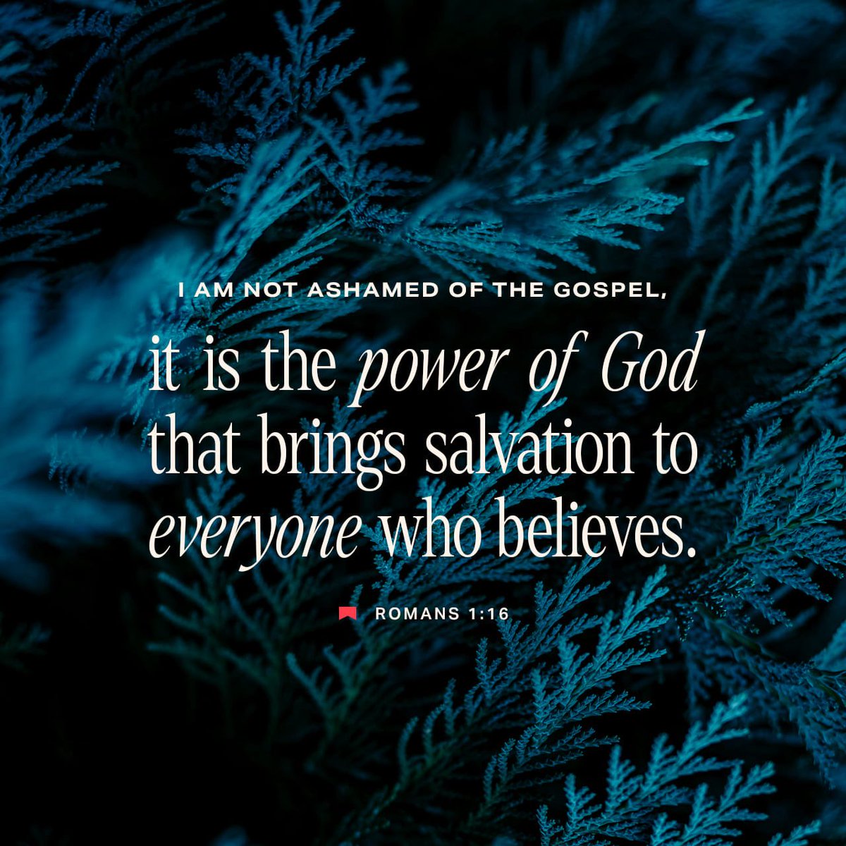 Renderman072's tweet image. Bible Verse Of The Day:
“I am not ashamed of the gospel. It is the power of God that brings salvation to everyone who believes.” - Romans 1:16

@youversion

#verseoftheday #bibleverses #reflections