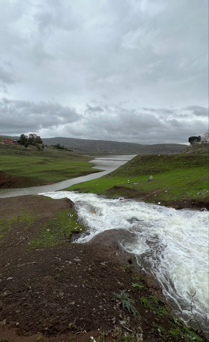 _Syria963's tweet photo. بُحيرة المزينة في الحواش في سوريا 🇸🇾💚

💚Al-Muzena Lake in Al-Hawash in Syria🇸🇾 https://t.co/WAYGOjPQfd