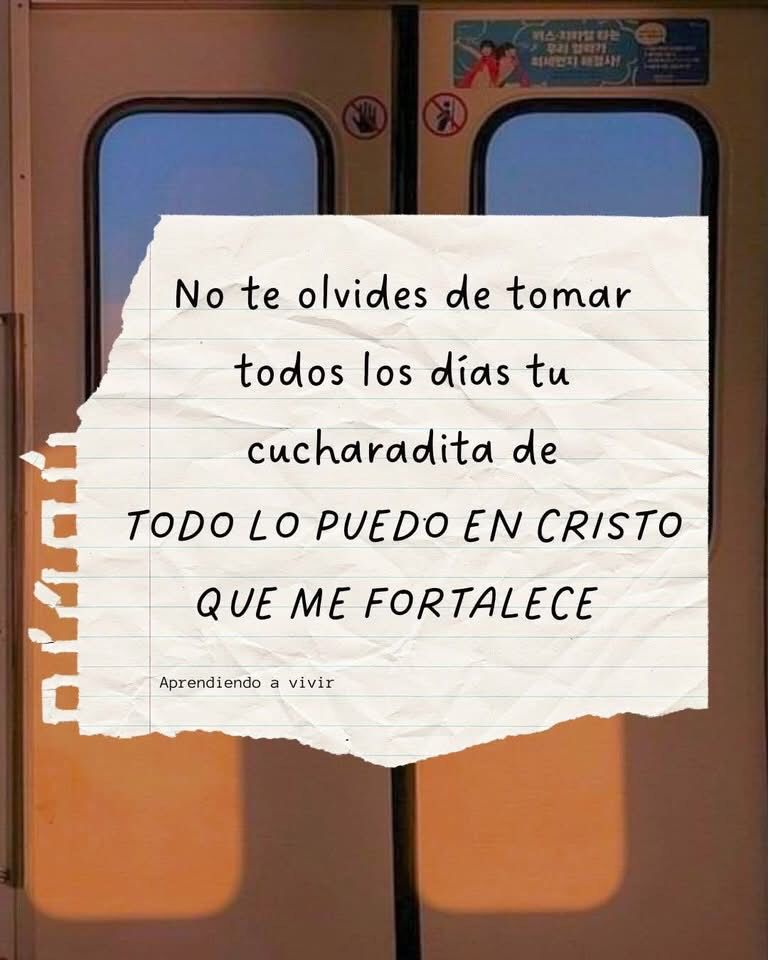 María Sorté tweet media
