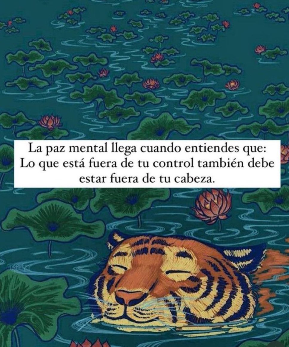 🌙 mini textos (@soyminitextos) on Twitter photo 