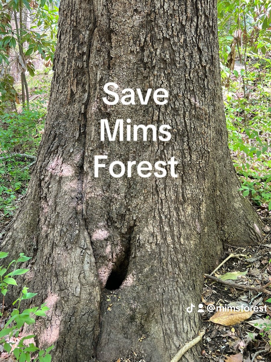 Mims Preserve tweet media