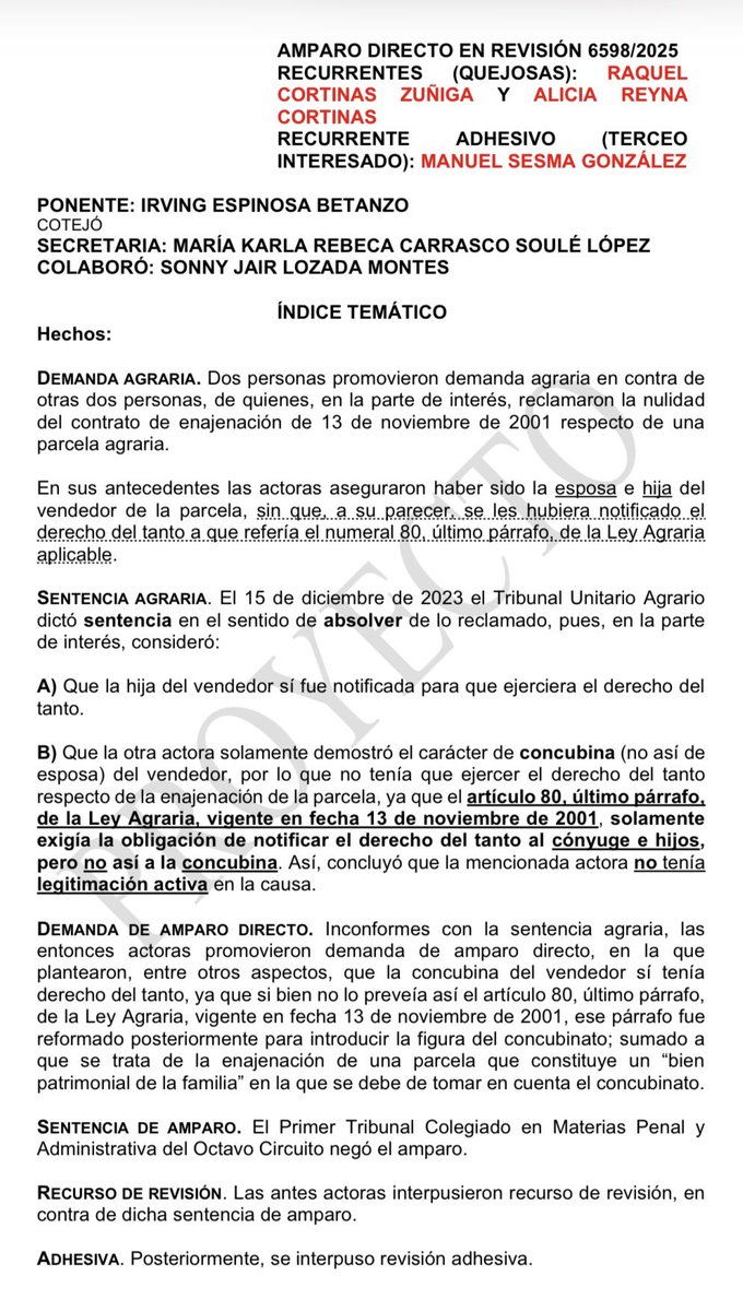 José Mario tweet media