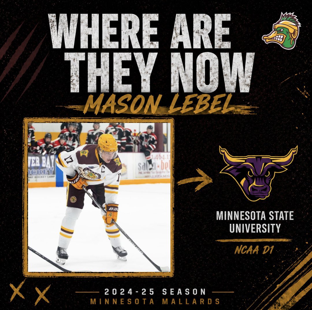 Minnesota Mallards tweet media