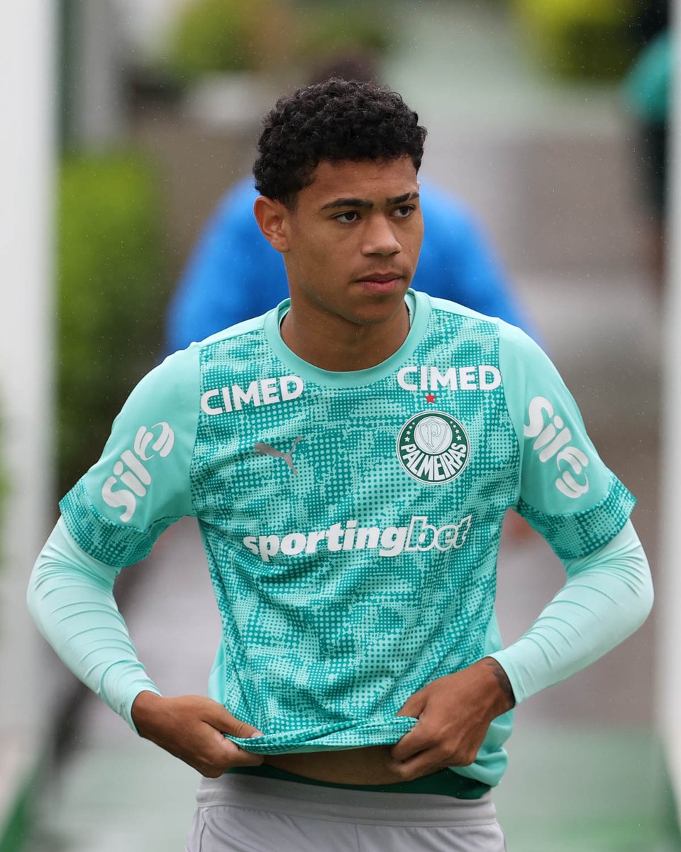 SE Palmeiras tweet media