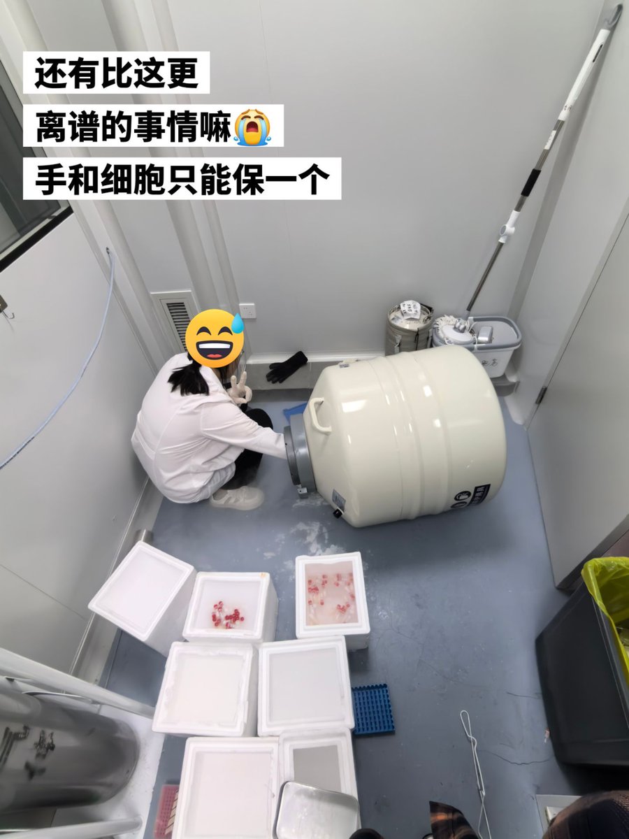 雪秋小可爱 tweet media