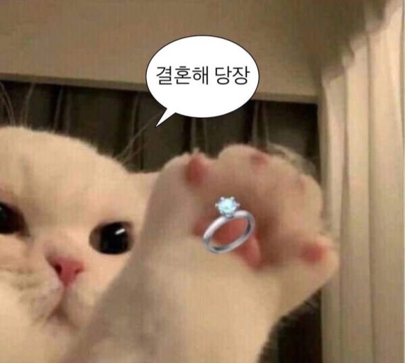 달세냐🌕 tweet media
