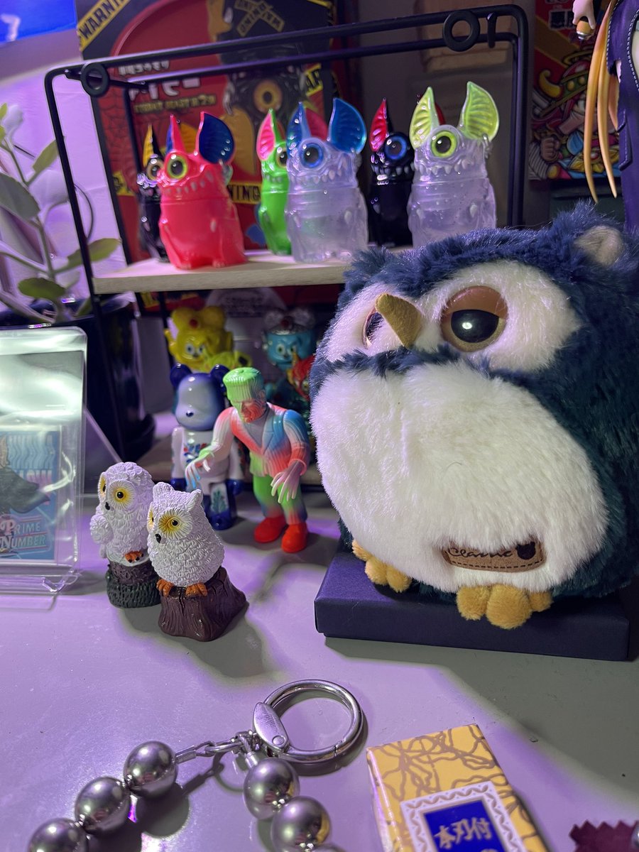 この梟ぬいぐるみ可愛かったから
ライブ終わり速攻ナギから奪って逃走。
そのまま家の宝物棚に飾ったっわ。
ナギも欲しがってたけど
関係あれへん。これは、俺のモノです。
決起会ツアー
ありがとうございました🔥
最高でした✨
お菓子くれた子最高。
#紅月ナギ #JUTEBAGBOY #フクロウP