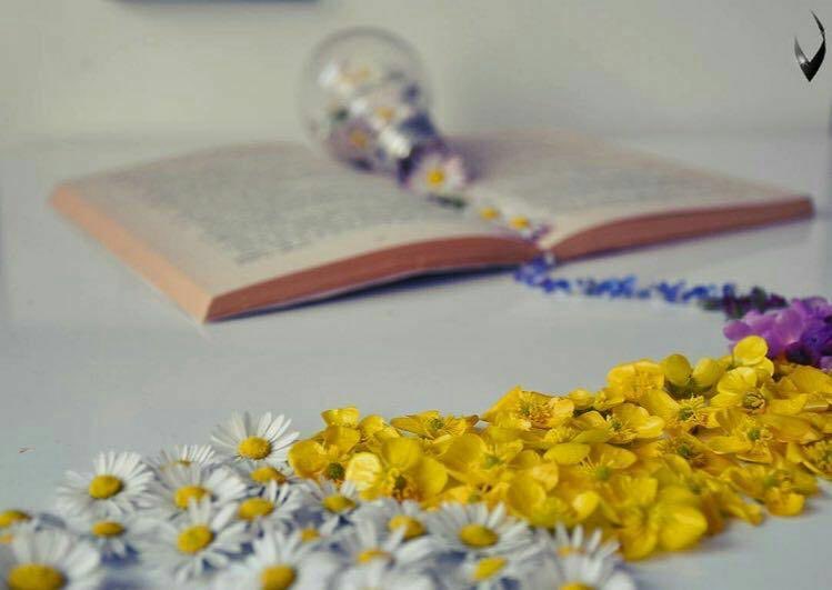 حمووووودي tweet media