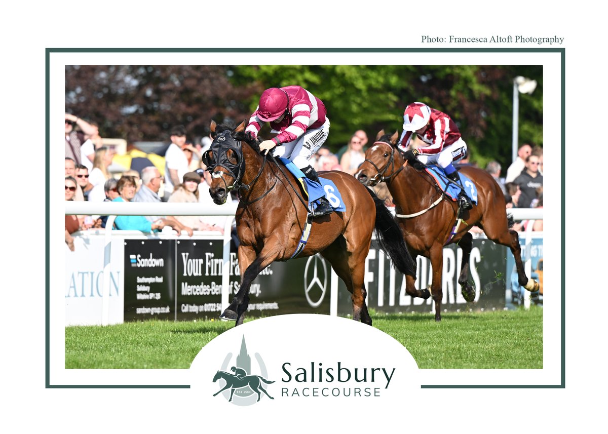Salisbury Racecourse tweet media