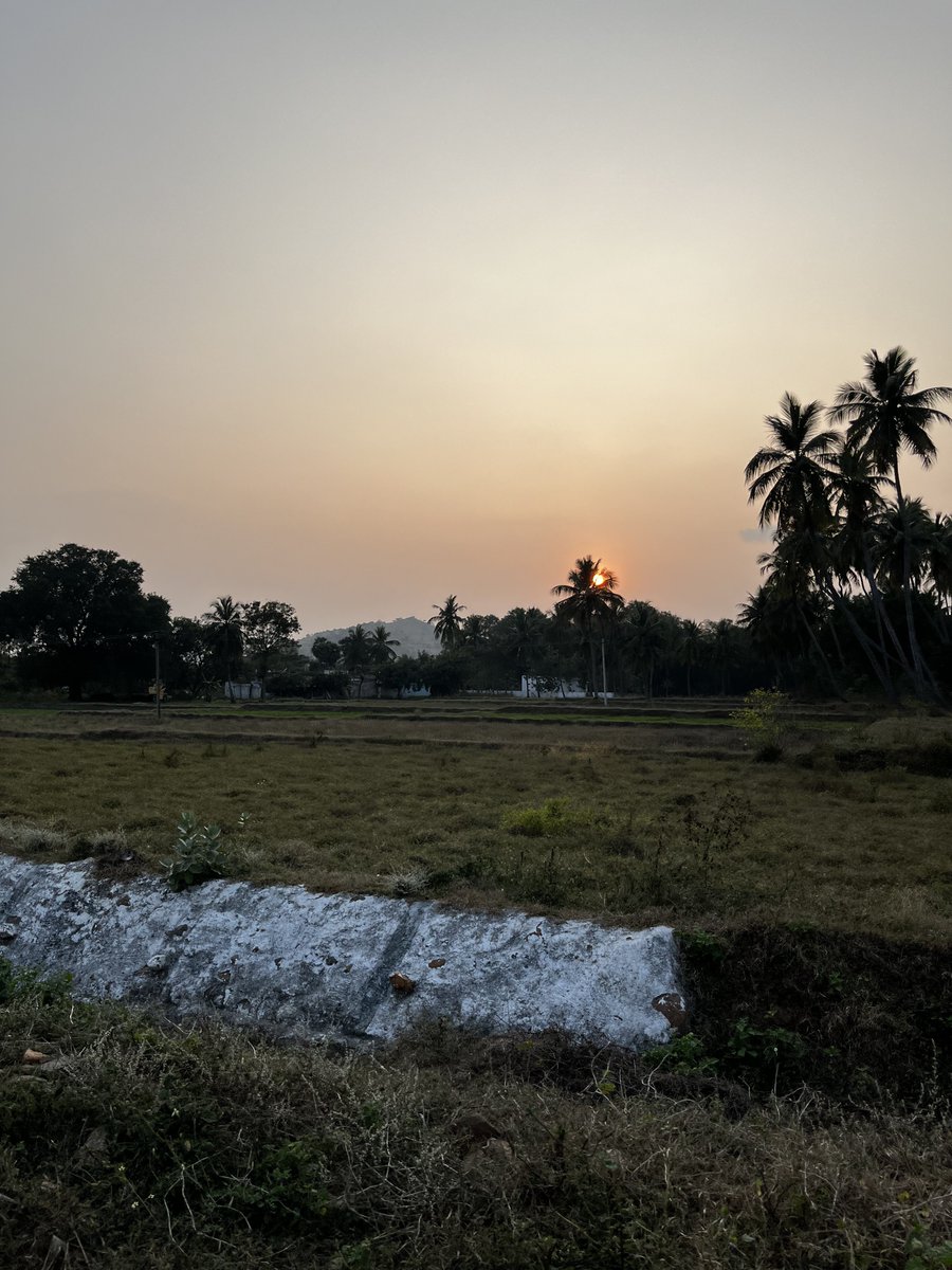 Yoriichi Naidu⛩️ tweet media