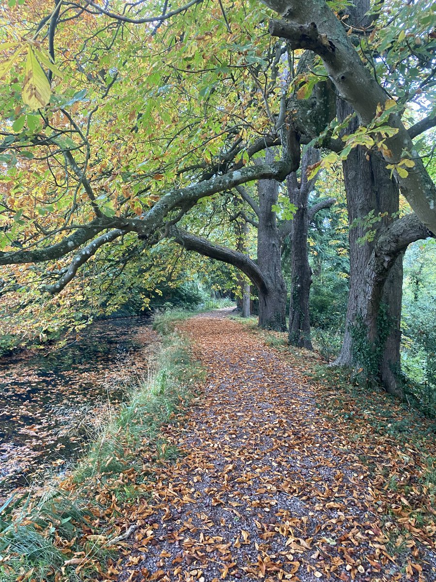 Working with the land, not against it 
From wildlife friendly gardening and habitat creation to discreet pest management and seasonal land care, I help spaces thrive naturally and sustainably. Real results, rooted in experience.

#LandManagement  #herefordshire