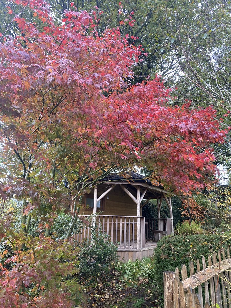 EdgeWoodlands's tweet photo. Working with the land, not against it 
From wildlife friendly gardening and habitat creation to discreet pest management and seasonal land care, I help spaces thrive naturally and sustainably. Real results, rooted in experience.

#LandManagement  #herefordshire https://t.co/a90Yh8WTei