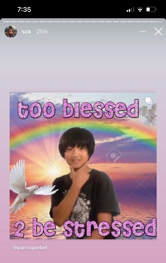 cece 🧸🪽 tweet media