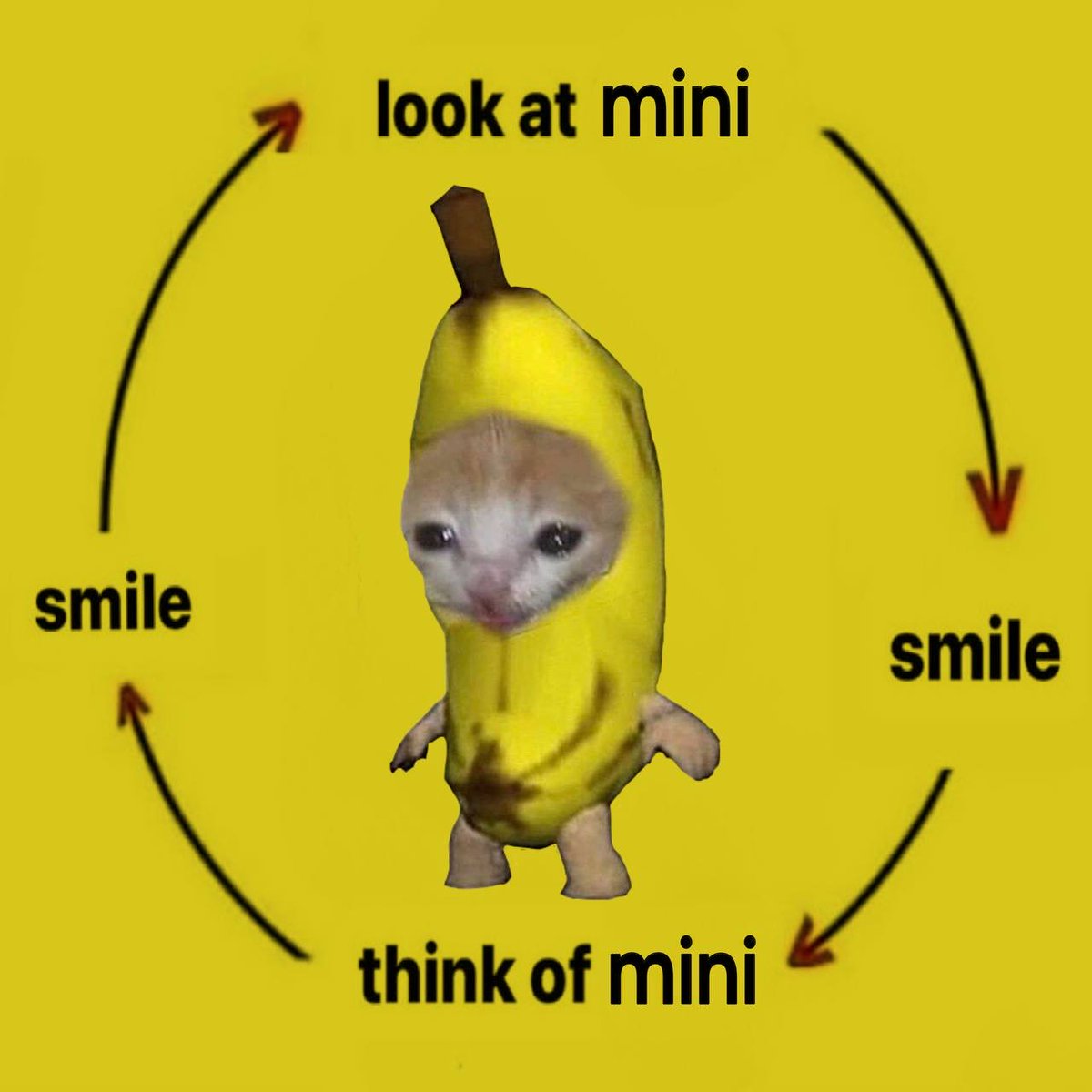 mini tweet media
