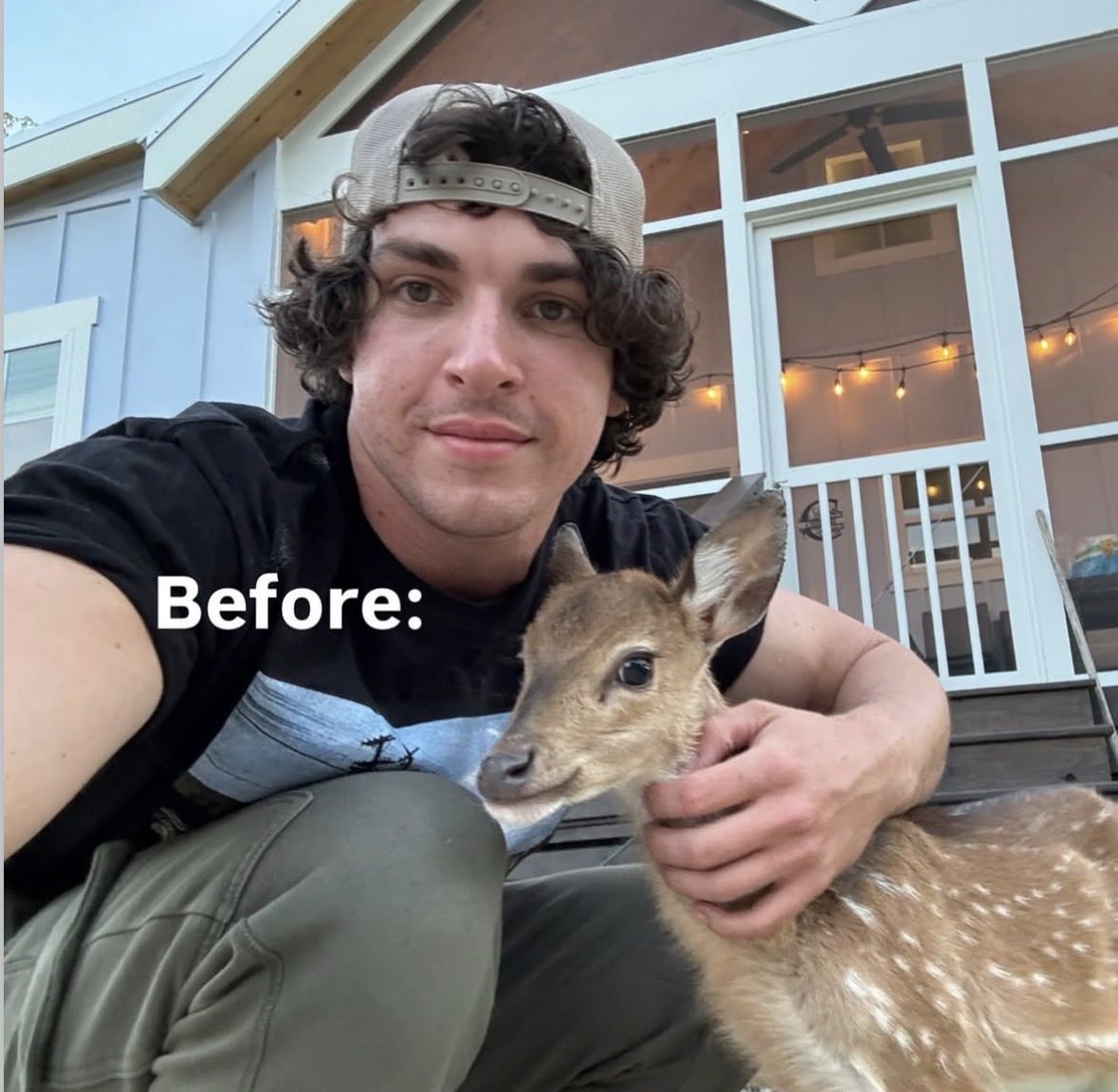 CocchiDeer tweet media
