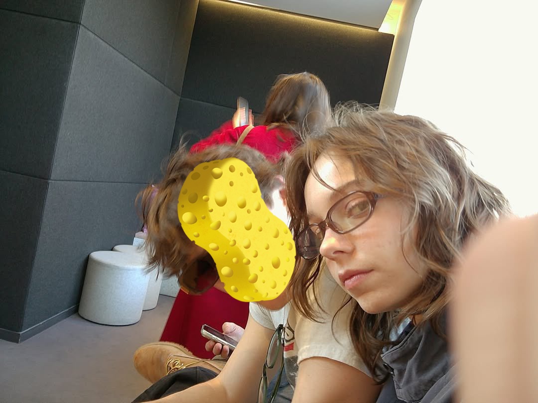 🌮 tweet media