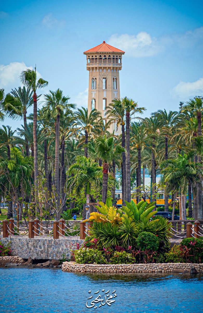 المنتزة