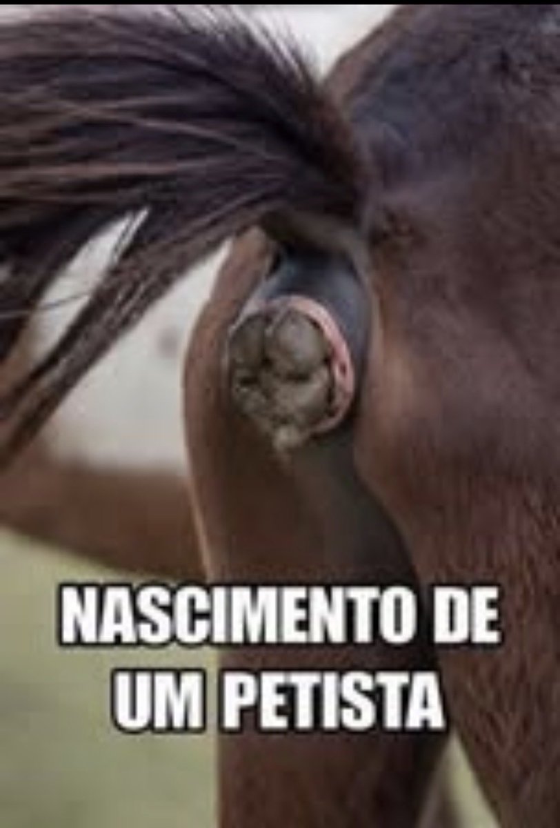 RomuloC61464900's tweet photo. @GelsonSReis1 @opilhado É assim vc nasceu https://t.co/iiudDBjg1n